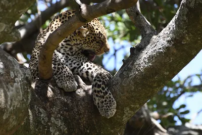 DSC_3963 (Large).JPG